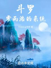 斗罗大陆霍雨浩的系统