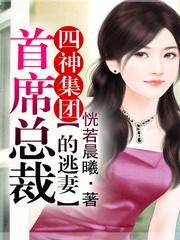 四神集团1首席总裁的逃妻未删减