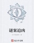 谜案追凶第二部