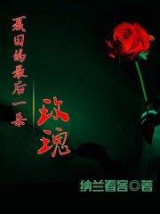 夏日最后一朵玫瑰文章