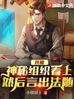 我变成了神秘组织boss