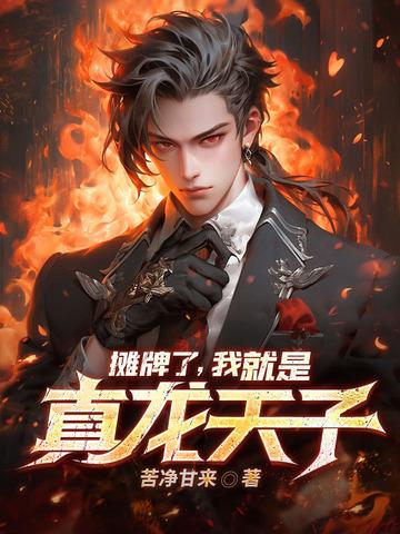 我摊牌了我是天子