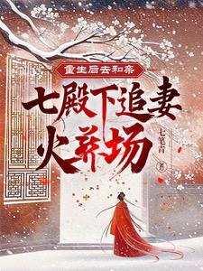 重生后回七王爷府
