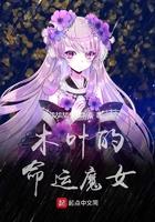 木叶的女人
